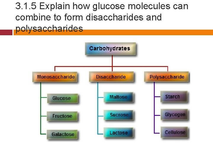 3. 1. 5 Explain how glucose molecules can combine to form disaccharides and polysaccharides