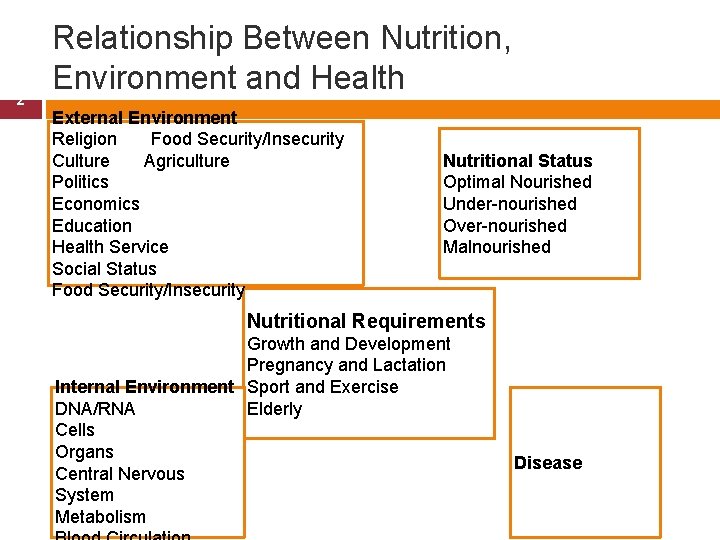 2 Relationship Between Nutrition, Environment and Health External Environment Religion Food Security/Insecurity Culture Agriculture
