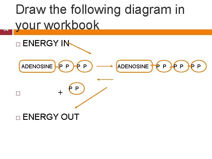 54 Draw the following diagram in your workbook � ENERGY IN ADENOSINE P P
