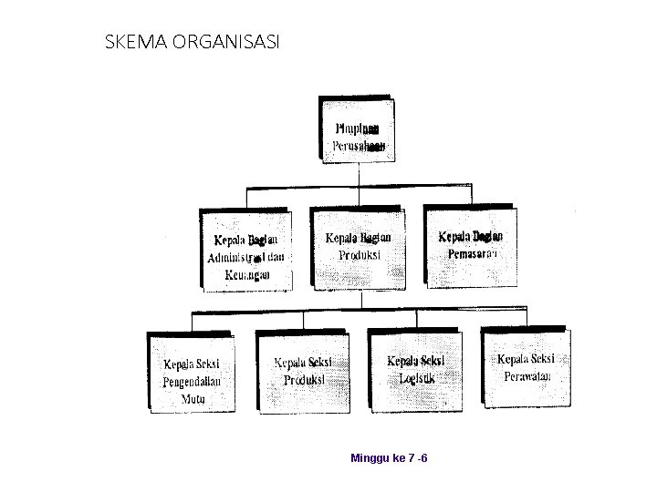 SKEMA ORGANISASI Minggu ke 7 -6 