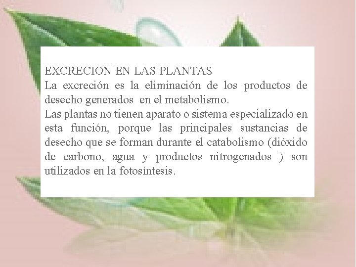 EXCRECION EN LAS PLANTAS La excreción es la eliminación de los productos de desecho