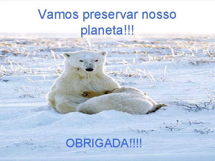 Vamos preservar nosso planeta!!! OBRIGADA!!!! 