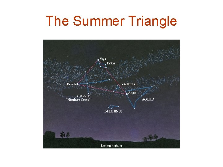The Summer Triangle 