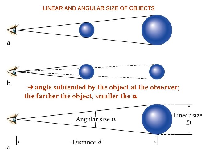 LINEAR AND ANGULAR SIZE OF OBJECTS a angle subtended by the object at the