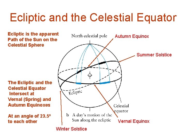 Ecliptic and the Celestial Equator Ecliptic is the apparent Path of the Sun on