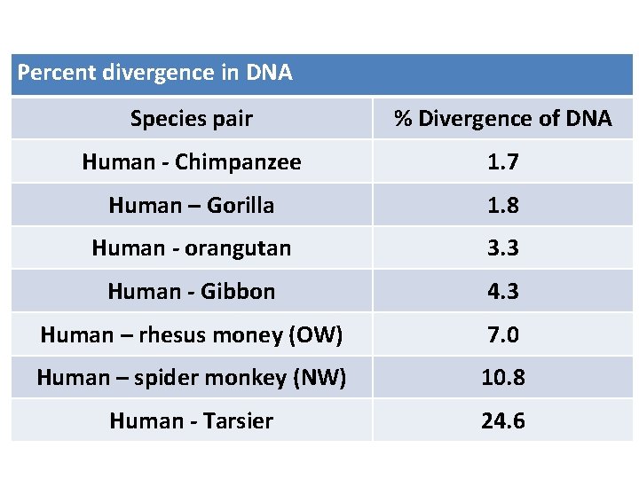 Percent divergence in DNA Species pair % Divergence of DNA Human - Chimpanzee 1.