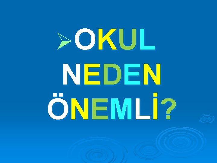 Ø O KUL NE DE N Ö N E ML İ ? 