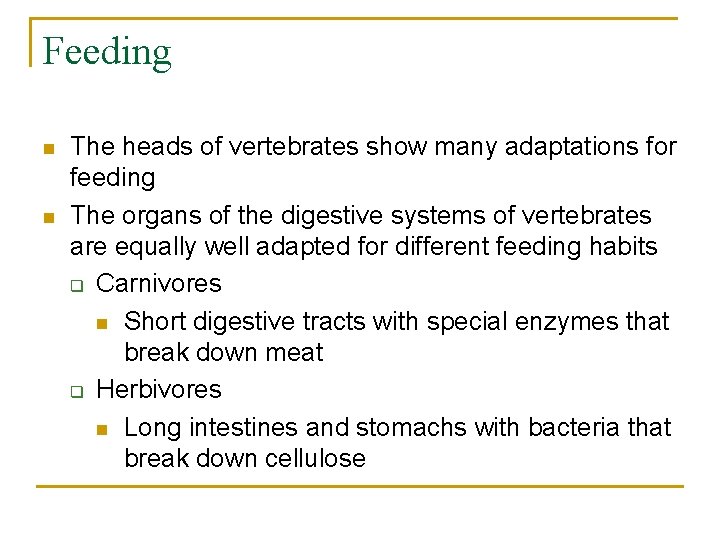 Feeding n n The heads of vertebrates show many adaptations for feeding The organs