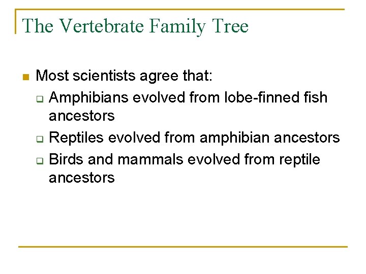 The Vertebrate Family Tree n Most scientists agree that: q Amphibians evolved from lobe-finned