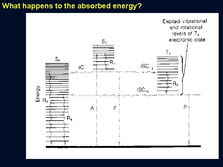 What happens to the absorbed energy? 