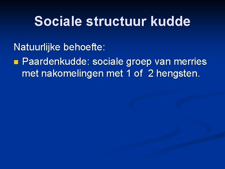 Sociale structuur kudde Natuurlijke behoefte: n Paardenkudde: sociale groep van merries met nakomelingen met