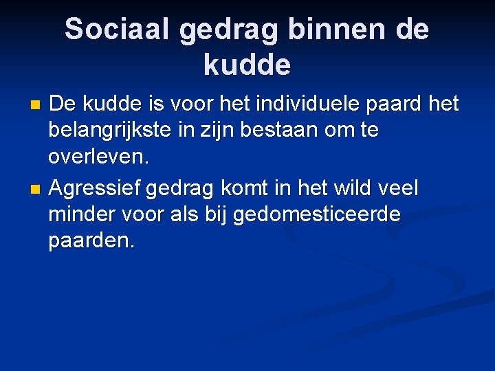 Sociaal gedrag binnen de kudde De kudde is voor het individuele paard het belangrijkste