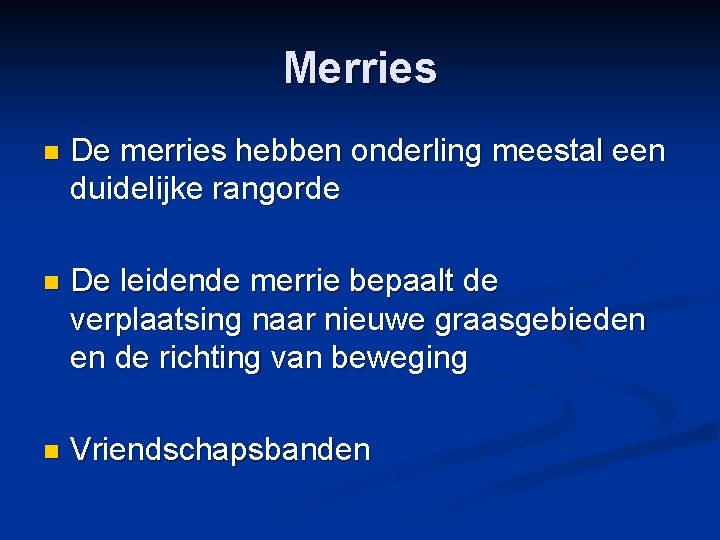 Merries n De merries hebben onderling meestal een duidelijke rangorde n De leidende merrie