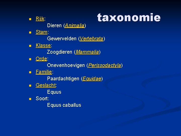 n n n n Rijk: taxonomie Dieren (Animalia) Stam: Gewervelden (Vertebrata) Klasse: Zoogdieren (Mammalia)