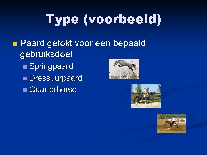 Type (voorbeeld) n Paard gefokt voor een bepaald gebruiksdoel Springpaard n Dressuurpaard n Quarterhorse