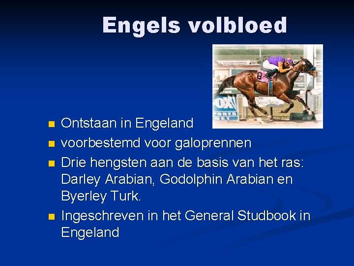 Engels volbloed n n Ontstaan in Engeland voorbestemd voor galoprennen Drie hengsten aan de