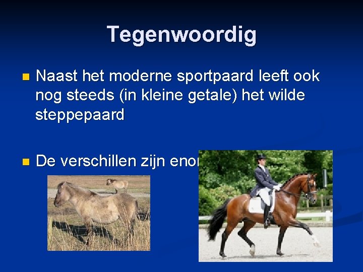 Tegenwoordig n Naast het moderne sportpaard leeft ook nog steeds (in kleine getale) het