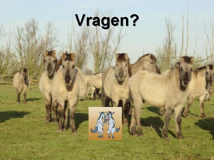 Vragen? 