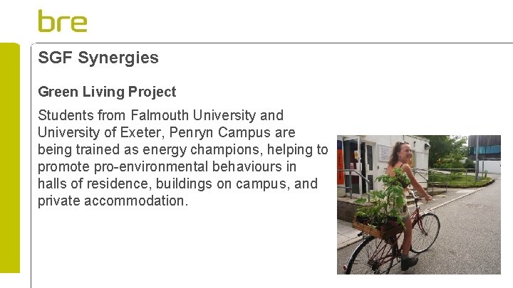 SGF Synergies Green Living Project Students from Falmouth University and University of Exeter, Penryn