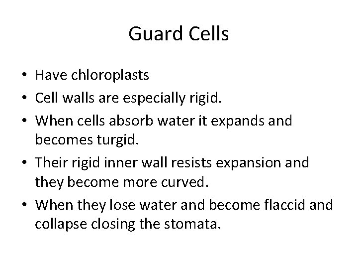 Guard Cells • Have chloroplasts • Cell walls are especially rigid. • When cells