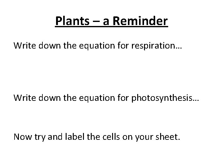 Plants – a Reminder Write down the equation for respiration… Write down the equation Plants – a Reminder Write down the equation for respiration… Write down the equation