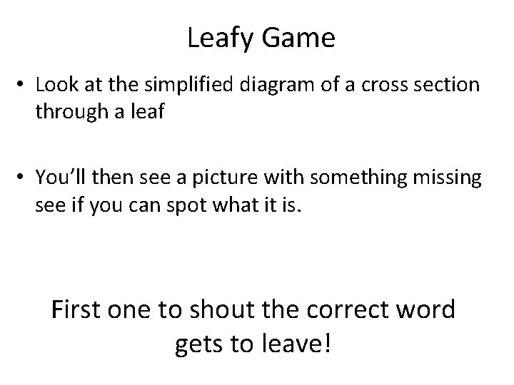 Leafy Game • Look at the simplified diagram of a cross section through a