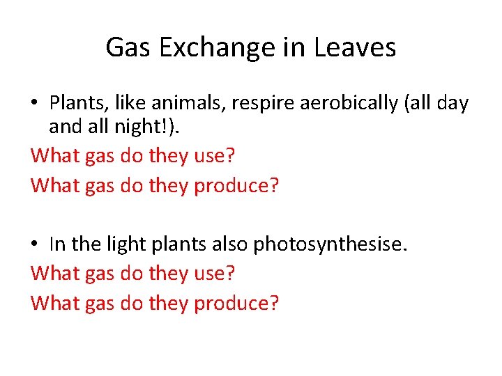 Gas Exchange in Leaves • Plants, like animals, respire aerobically (all day and all