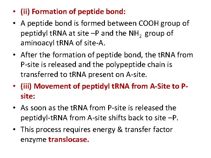  • (ii) Formation of peptide bond: • A peptide bond is formed between