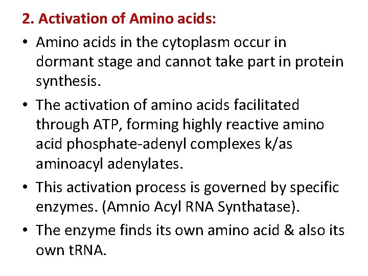 2. Activation of Amino acids: • Amino acids in the cytoplasm occur in dormant