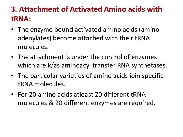 3. Attachment of Activated Amino acids with t. RNA: • The enzyme bound activated