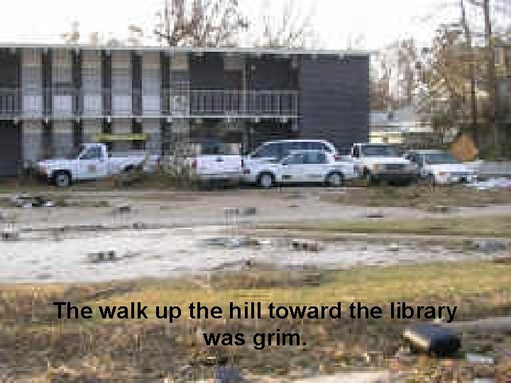 The walk up the hill toward the library was grim. 