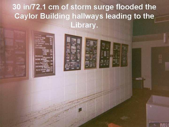 30 in/72. 1 cm of storm surge flooded the Caylor Building hallways leading to