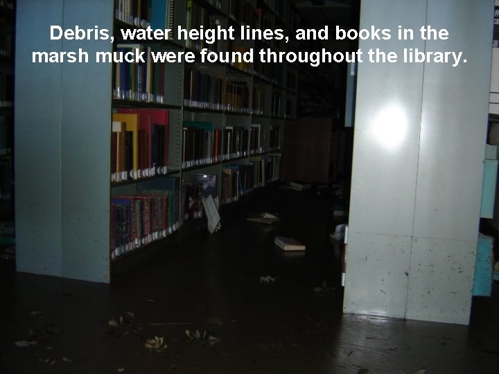 Debris, water height lines, and books in the marsh muck were found throughout the
