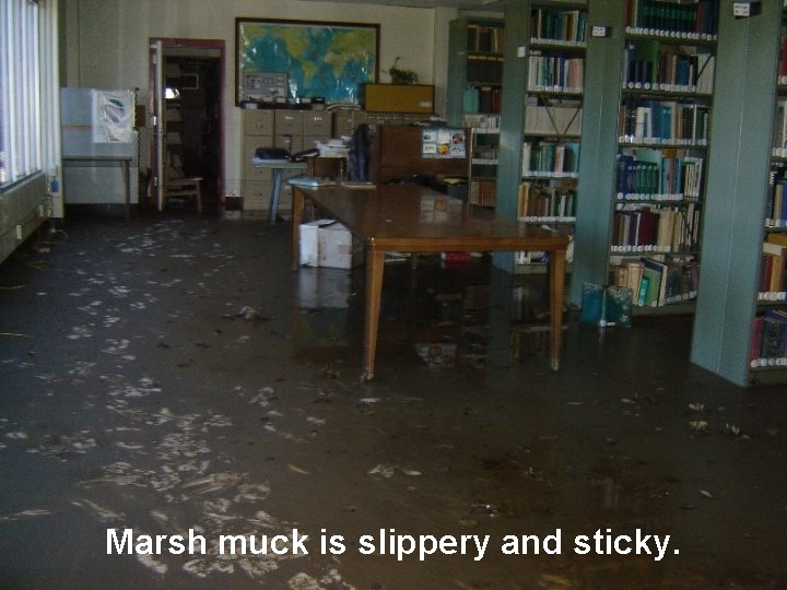 Marsh muck is slippery and sticky. 