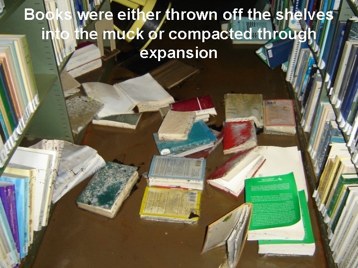 Books were either thrown off the shelves into the muck or compacted through expansion