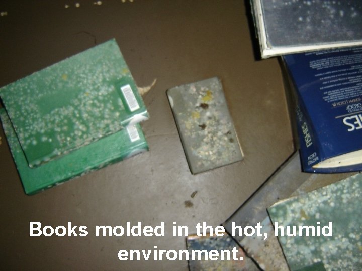 Books molded in the hot, humid environment. 