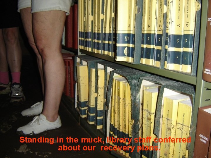 Standing in the muck, library staff conferred about our recovery plans. 