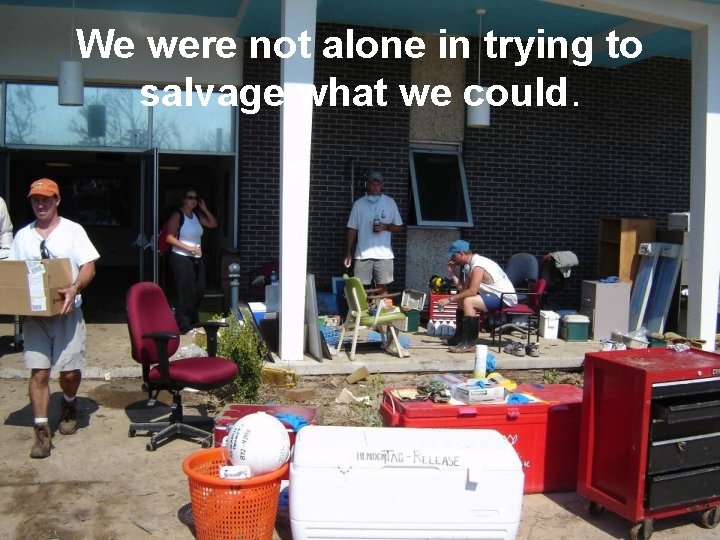 We were not alone in trying to salvage what we could. 