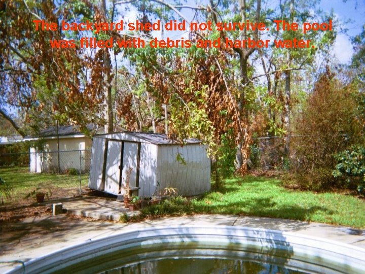 The backyard shed did not survive. The pool was filled with debris and harbor