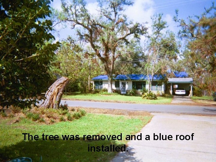The tree was removed and a blue roof installed. 
