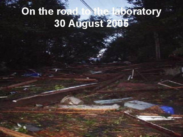 On the road to the laboratory 30 August 2005 