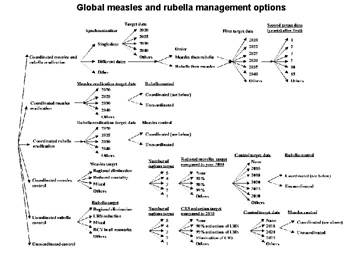 Global measles and rubella management options 