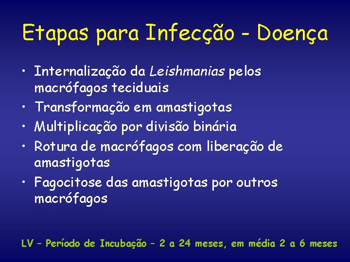 Etapas para Infecção - Doença • Internalização da Leishmanias pelos macrófagos teciduais • Transformação