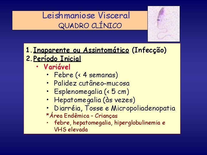 Leishmaniose Visceral QUADRO CLÍNICO 1. Inaparente ou Assintomático (Infecção) 2. Período Inicial • Variável