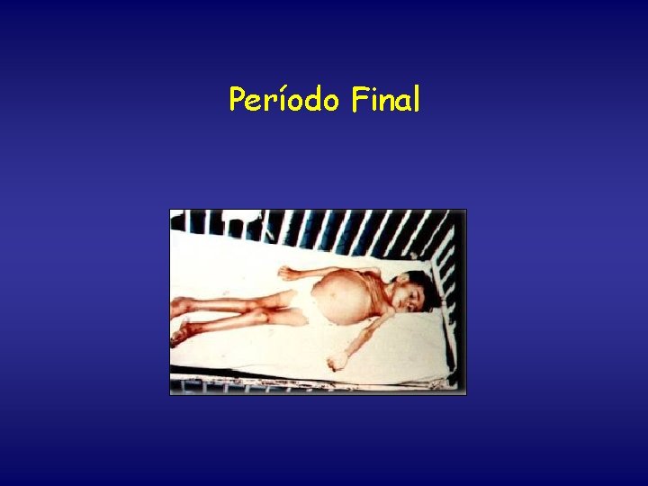 Período Final 