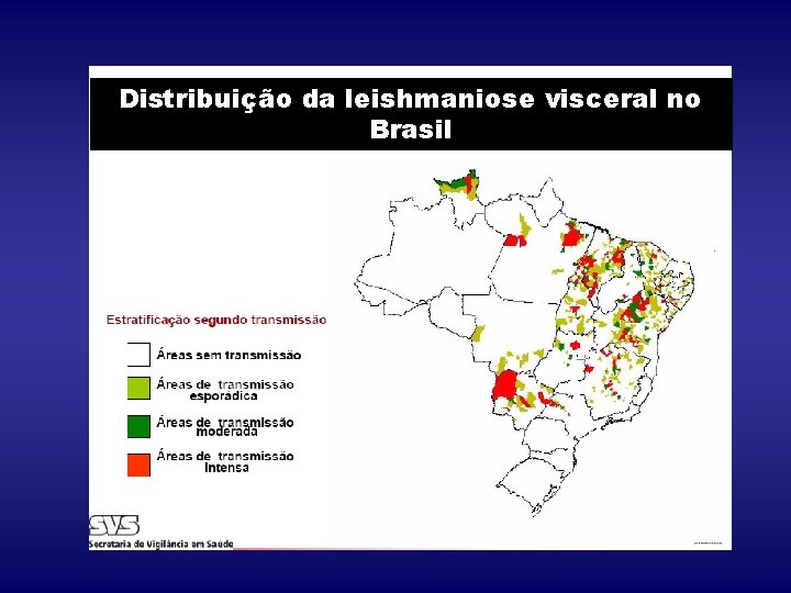 Distribuição da leishmaniose visceral no Brasil 
