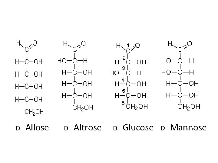 D -Allose D -Altrose D -Glucose D -Mannose 