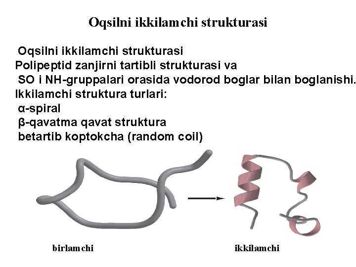 Oqsilni ikkilamchi strukturasi Polipeptid zanjirni tartibli strukturasi va SO i NH-gruppalari orasida vodorod boglar