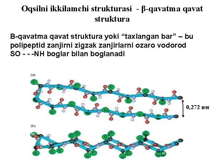 Oqsilni ikkilamchi strukturasi - β-qavatma qavat struktura Β-qavatma qavat struktura yoki “taxlangan bar” –