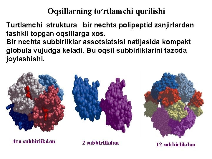 Oqsillarning to ׳ rtlamchi qurilishi Turtlamchi struktura bir nechta polipeptid zanjirlardan tashkil topgan oqsillarga